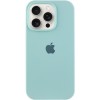 Чехол Silicone Case Full Protective (AA) для Apple iPhone 13 Pro Max (6.7 дюйма) Бирюзовый / Beryl
