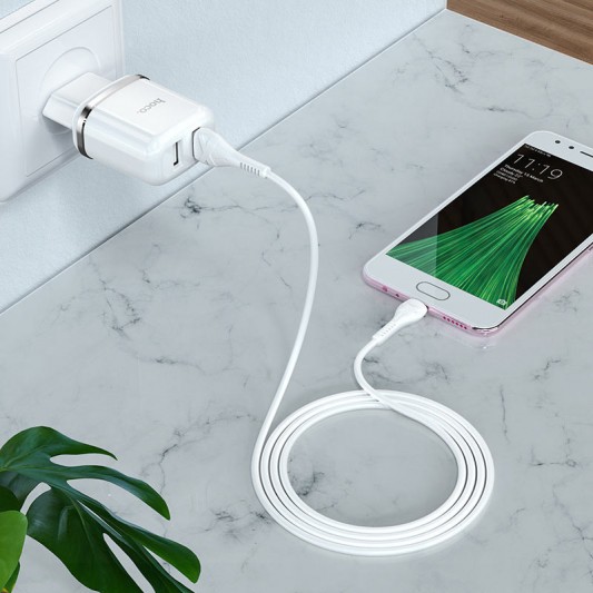 Комплект зарядки для телефона Hoco N4 (2USB/2.4A) + Type-C (Белый) - изображение 3