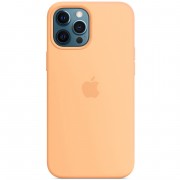 Чохол Silicone case (AAA) with Magsafe для Apple iPhone 12 Pro / 12 (6.1") Помаранчевий / Cantaloupe
