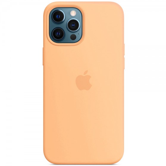 Чохол Silicone case (AAA) with Magsafe для Apple iPhone 12 Pro / 12 (6.1") Помаранчевий / Cantaloupe