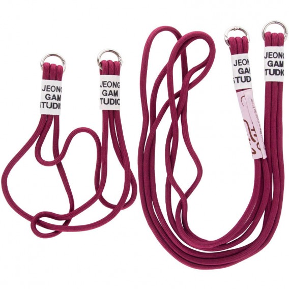 Чохол TPU two straps California для Apple iPhone 13 Pro Max (6.7"") Червоний / Rose Red