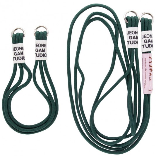 Чохол TPU two straps California для Apple iPhone 13 Pro (6.1") Зелений / Forest green - зображення 5 