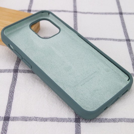 Чохол Silicone Case Full Protective (AA) для Apple iPhone 12 Pro Max (6.7") Зелений / Cactus - зображення 2 
