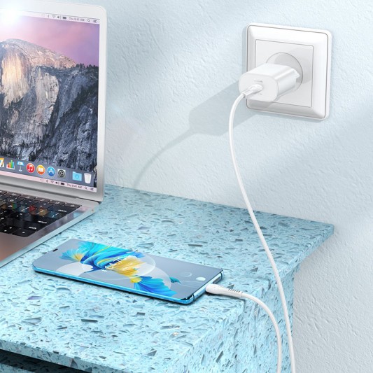 СЗУ Hoco N22 Jetta PD25W (1USB-C) + кабель Type-C to Type-C Белый - изображение 4