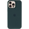 Чехол Silicone Case Full Protective (AA) для Apple iPhone 15 Pro (6.1"), Зеленый / Forest green