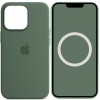 Чохол Silicone case (AAA) full with Magsafe and Animation для Apple iPhone 13 Pro Max (6.7"), Зелений / Eucalyptus
