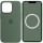 Чохол Silicone case (AAA) with Magsafe and Animation для Apple iPhone 13 Pro Max (6.7") Зелений / Eucalyptus