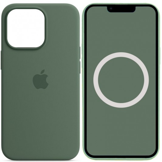 Чохол Silicone case (AAA) with Magsafe and Animation для Apple iPhone 13 Pro Max (6.7") Зелений / Eucalyptus