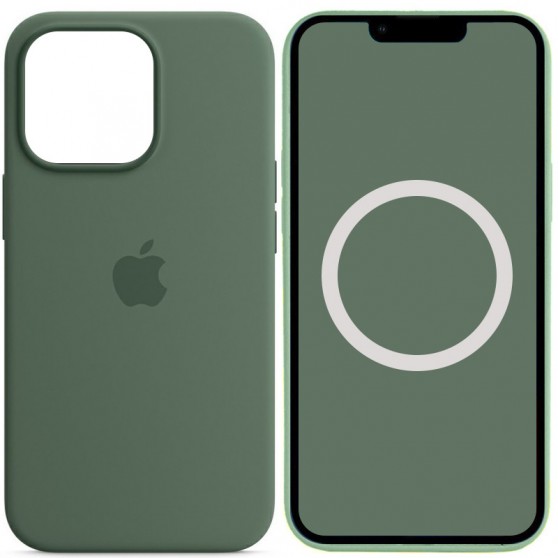 Чехол Silicone case (AAA) with Magsafe and Animation для Apple iPhone 13 Pro Max (6.7") Зеленый / Eucalyptus