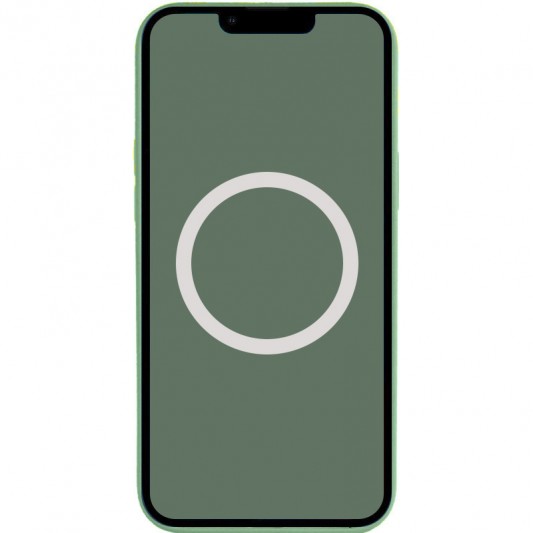 Чохол Silicone case (AAA) with Magsafe and Animation для Apple iPhone 13 Pro Max (6.7") Зелений / Eucalyptus - зображення 1 