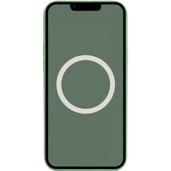 Чохол Silicone case (AAA) full with Magsafe and Animation для Apple iPhone 13 Pro Max (6.7"), Зелений / Eucalyptus