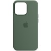 Чохол Silicone case (AAA) full with Magsafe and Animation для Apple iPhone 13 Pro Max (6.7"), Зелений / Eucalyptus