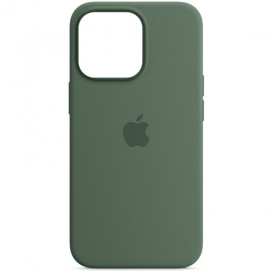 Чохол Silicone case (AAA) with Magsafe and Animation для Apple iPhone 13 Pro Max (6.7") Зелений / Eucalyptus - зображення 2 