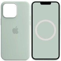 Чохол Silicone case (AAA) with Magsafe and Animation для Apple iPhone 14 Pro (6.1") Бірюзовий / Succulent