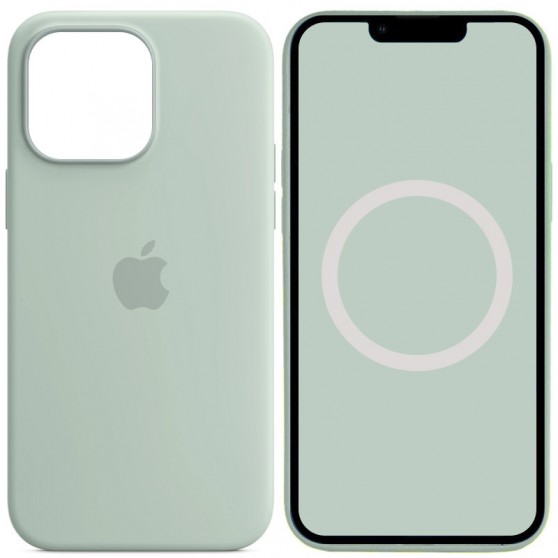 Чехол Silicone case (AAA) with Magsafe and Animation для Apple iPhone 14 Pro (6.1") Бирюзовый / Succulent