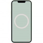 Чехол Silicone case (AAA) full with Magsafe and Animation для Apple iPhone 14 Pro (6.1"), Бирюзовый / Succulent