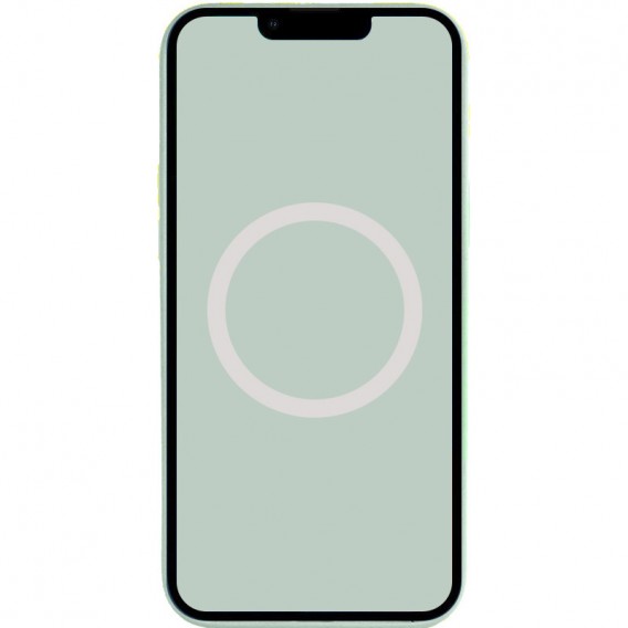 Чехол Silicone case (AAA) full with Magsafe and Animation для Apple iPhone 14 Pro (6.1"), Бирюзовый / Succulent