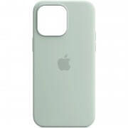 Чехол Silicone case (AAA) full with Magsafe and Animation для Apple iPhone 14 Pro (6.1"), Бирюзовый / Succulent