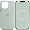 Чохол Silicone case (AAA) full with Magsafe and Animation для Apple iPhone 14 Pro Max (6.7"), Бірюзовий / Succulent