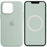 Чохол Silicone case (AAA) with Magsafe and Animation для Apple iPhone 14 Pro Max (6.7") Бірюзовий / Succulent