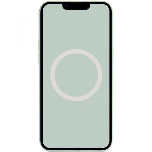 Чохол Silicone case (AAA) with Magsafe and Animation для Apple iPhone 14 Pro Max (6.7") Бірюзовий / Succulent - зображення 2 