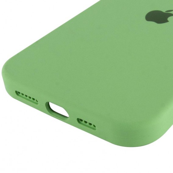Чехол Silicone Case Full Protective (AA) для Apple iPhone 16 Pro (6.3 дюйма) Мятный / Mint
