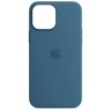 Чехол Silicone Case Full Protective (AA) для Apple iPhone 16 Pro Max (6.9"), Синий / Blue Jay
