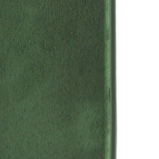 Чохол Silicone Case Full Camera Protective (AA) для Apple iPhone 16 (6.1") Зелений / Cyprus Green - зображення 6 
