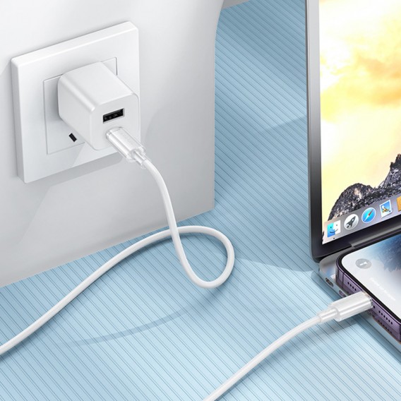 USB кабель Borofone BX112 Lemon Type-C to Lightning 27W (1m), White