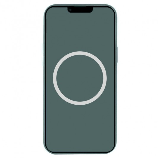 Чехол Silicone case (AAA) with Magsafe and Animation для Apple iPhone 16 Plus (6.7") Lake Green - изображение 2
