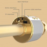 Караоке Мікрофон-колонка WS858L, Gold