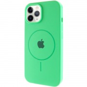 Чохол Silicone Case Full Protective (AA) with MagSafe для Apple iPhone 11 Pro (5.8") Зелений / Spearmint