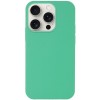 Чехол Silicone Case Full Protective (AA) NO LOGO для Apple iPhone 14 Pro Max (6.7") Зеленый / Spearmint