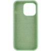 Чохол Silicone Case Full Protective (AA) NO LOGO для Apple iPhone 15 Pro (6.1") Зелений / Pistachio