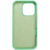 Чохол Silicone Case Full Protective (AA) NO LOGO для Apple iPhone 16 Pro (6.3") Зелений / Spearmint