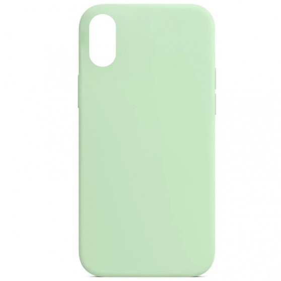 Чехол Silicone Case Full Protective (AA) NO LOGO для Apple iPhone X / XS (5.8") Зеленый / Pistachio