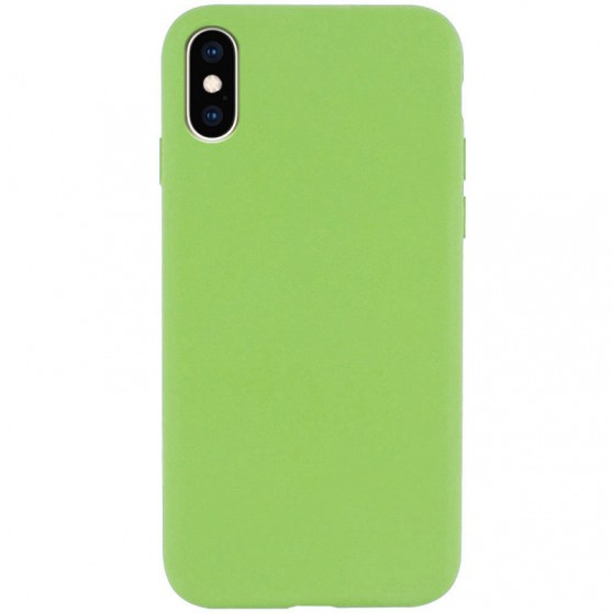 Чехол Silicone Case Full Protective (AA) NO LOGO для Apple iPhone X / XS (5.8") Мятный / Mint