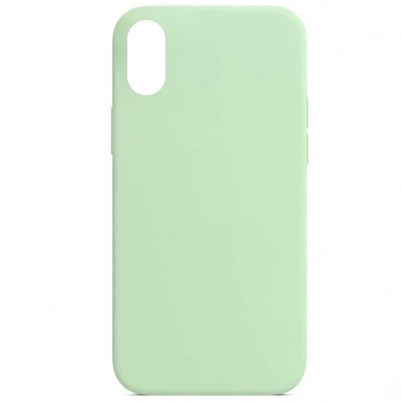 Чехол Silicone Case Full Protective (AA) NO LOGO для Apple iPhone XR (6.1") Зеленый / Pistachio