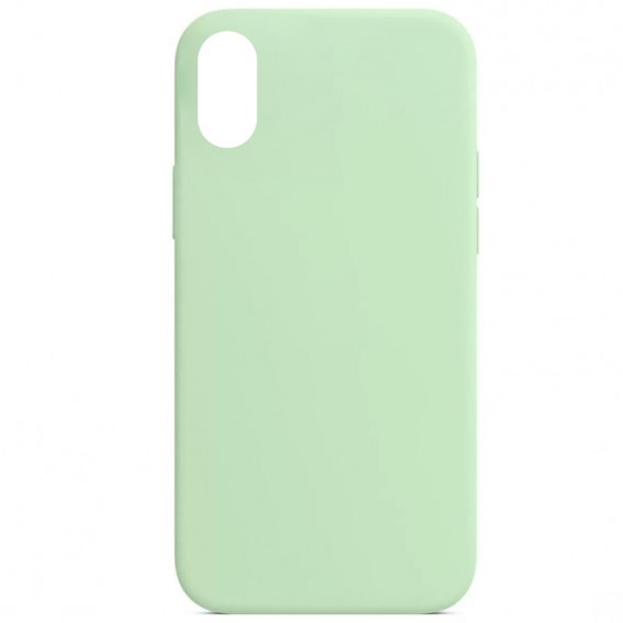 Чохол Silicone Case Full Protective (AA) NO LOGO для Apple iPhone XR (6.1") Зелений / Pistachio
