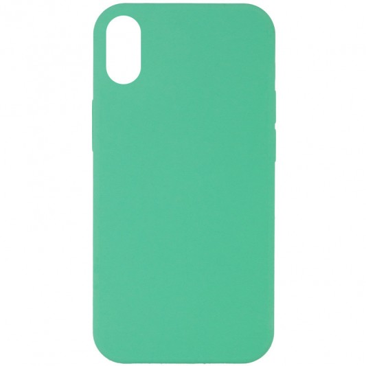 Чехол Silicone Case Full Protective (AA) NO LOGO для Apple iPhone XR (6.1") Зеленый / Spearmint