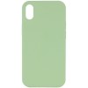 Чехол Silicone Case Full Protective (AA) NO LOGO для Apple iPhone XR (6.1") Мятный / Mint