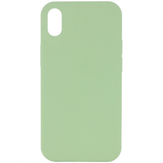 Чехол Silicone Case Full Protective (AA) NO LOGO для Apple iPhone XR (6.1") Мятный / Mint