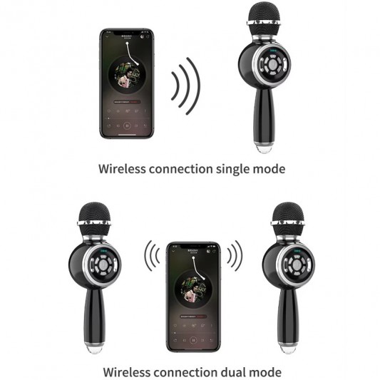 Караоке Мікрофон-колонка DS810 Black - зображення 1 