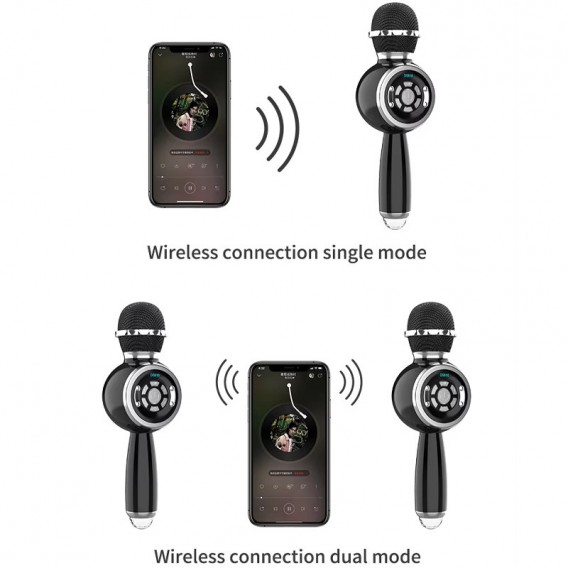 Караоке Мікрофон-колонка DS810 Black