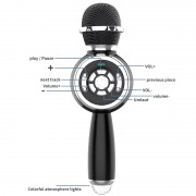 Караоке Мікрофон-колонка DS810 Black