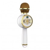 Караоке Мікрофон-колонка DS810 Gold Караоке Мікрофон-колонка DS810 Gold