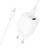 Блок живлення Hoco CS51A Surplus (2USB-A) + кабель USB to Lightning White