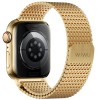 Ремешок WiWU Stainless steel для Apple Watch 38/40/41/42mm(ser.10) Gold