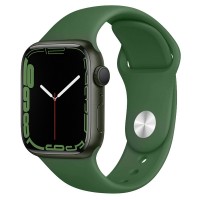 Ремінець Hoco WA01 Flexible series Apple watch (38/40/41mm) Alfalfa