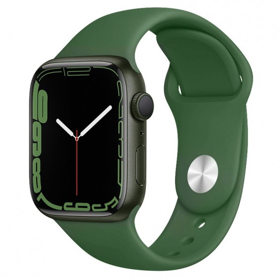 Ремінець Hoco WA01 Flexible series Apple watch (38/40/41mm) Alfalfa